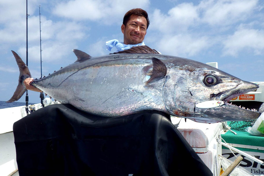 初めまして【 海あしび 】初投稿です。