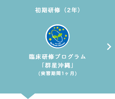 初期研修（2年）臨床研修プログラム「群星沖縄」(実習期間1ヶ月)